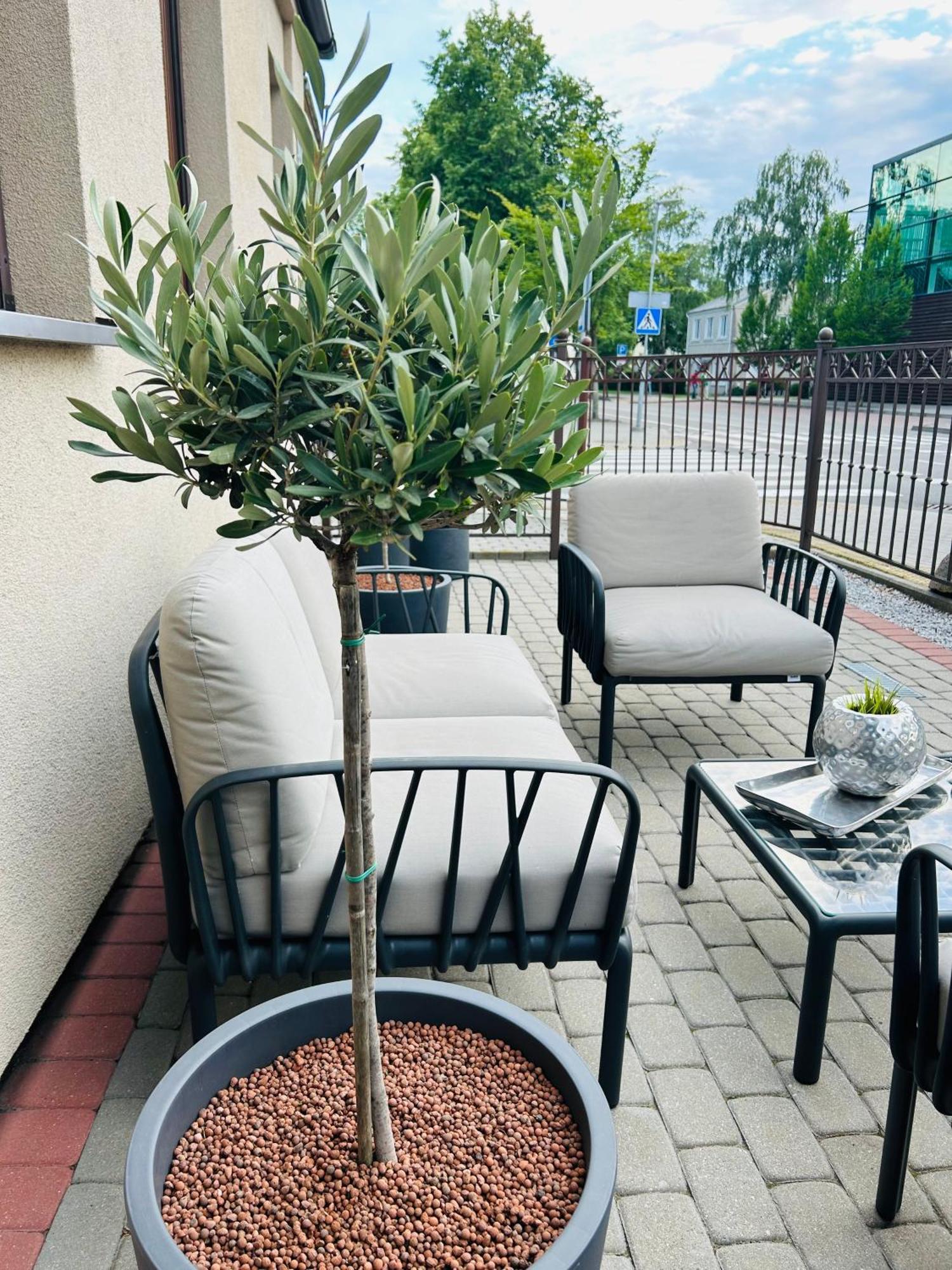 帕兰加 奥斯托维拉旅馆酒店 外观 照片